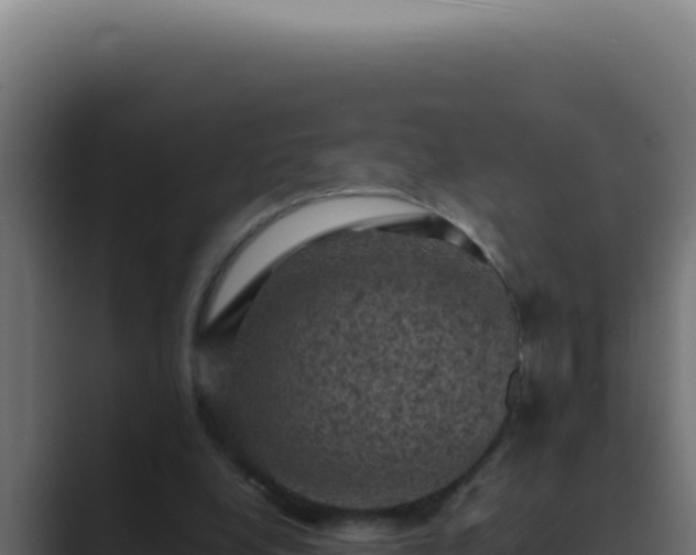 X0000089690248200706281421