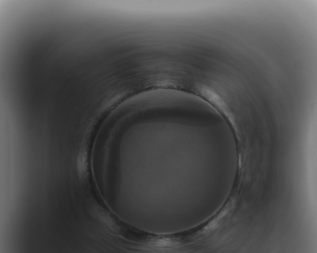 X0000089690249200706281421