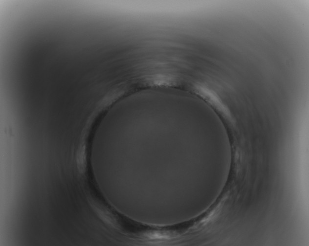 X0000089690250200706281421