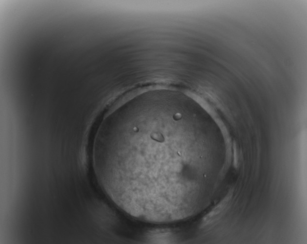 X0000089690252200706281421