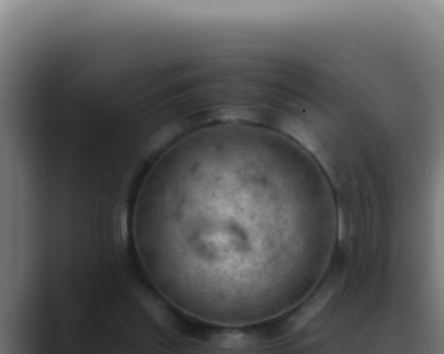 X0000089690253200706281421