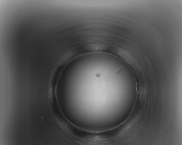 X0000089690254200706281421