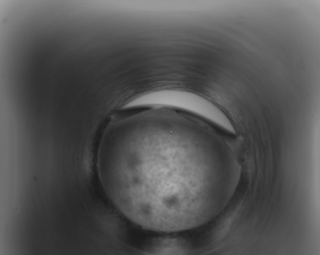 X0000089690255200706281421