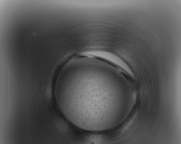 X0000089690256200706281421