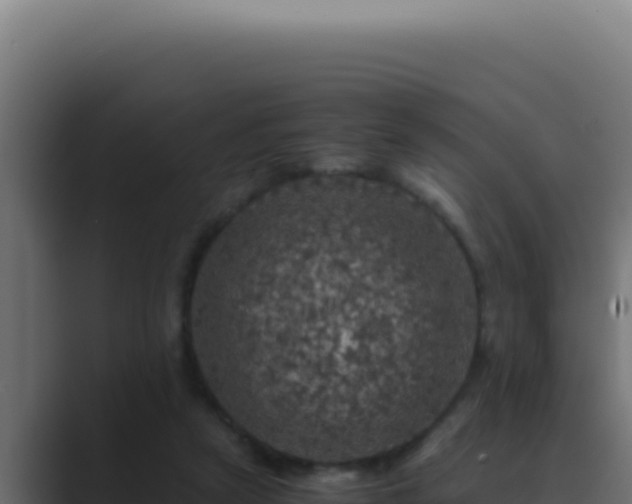 X0000089690257200706281421