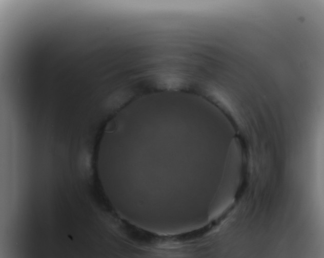 X0000089690258200706281421