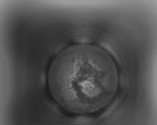 X0000089690259200706281421