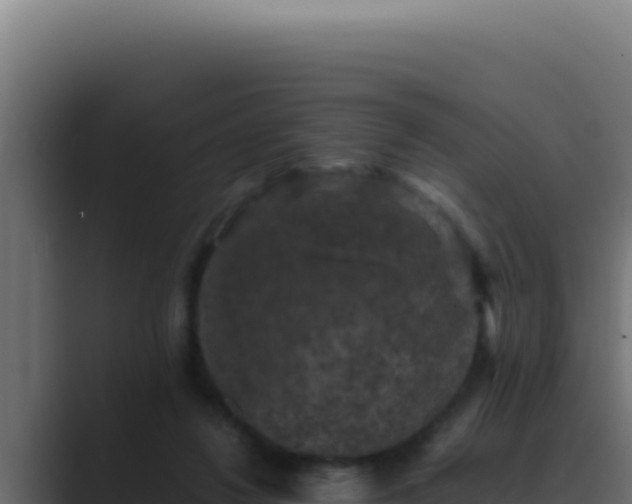 X0000089690260200706281421