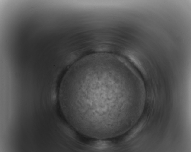 X0000089690261200706281421