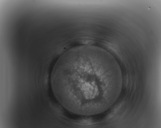 X0000089690263200706281421