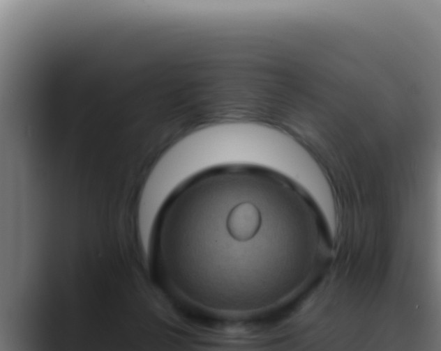 X0000089690264200706281421