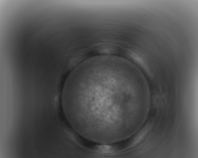 X0000089690265200706281421