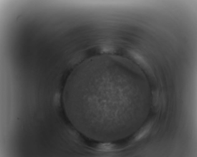 X0000089690269200706281421