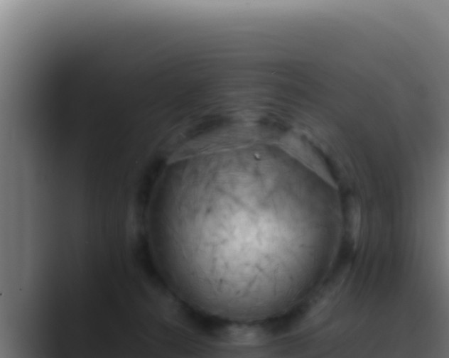 X0000089690272200706281421