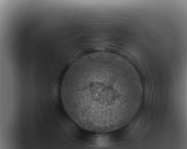 X0000089690275200706281421