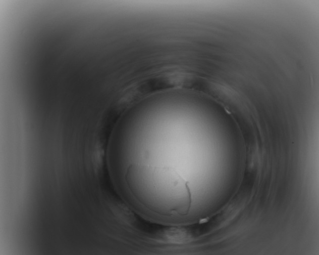 X0000089690279200706281421