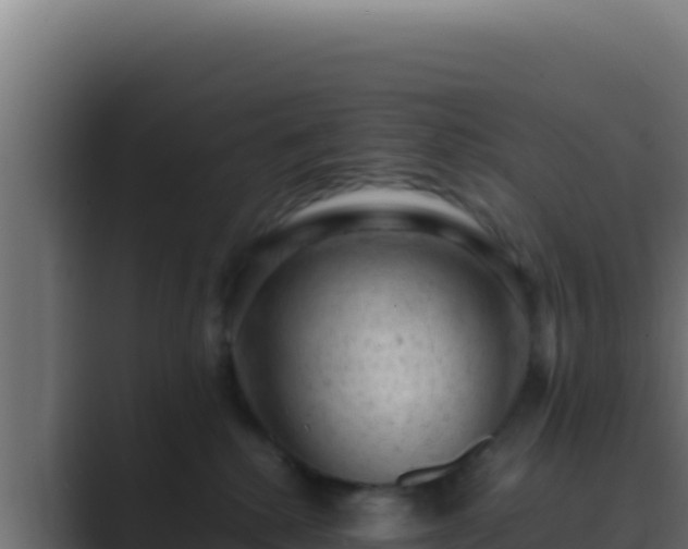 X0000089690280200706281421