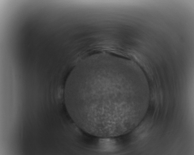 X0000089690281200706281421