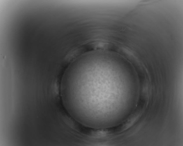 X0000089690282200706281421