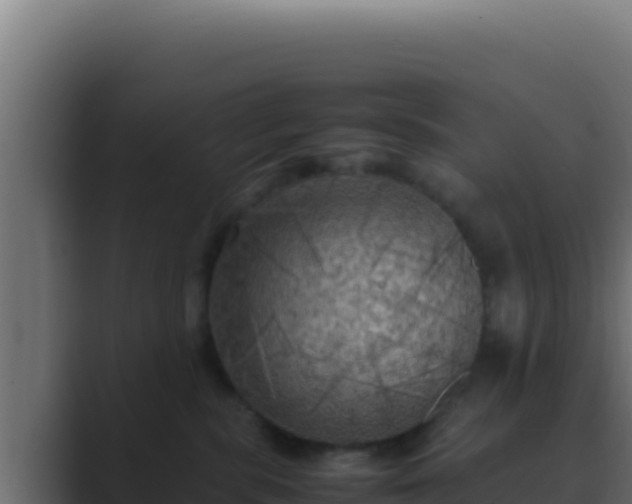 X0000089690283200706281421
