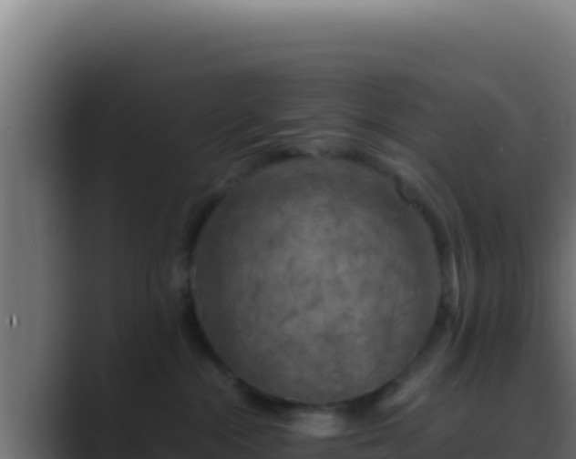 X0000089690284200706281421