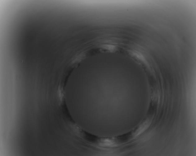 X0000089690285200706281421