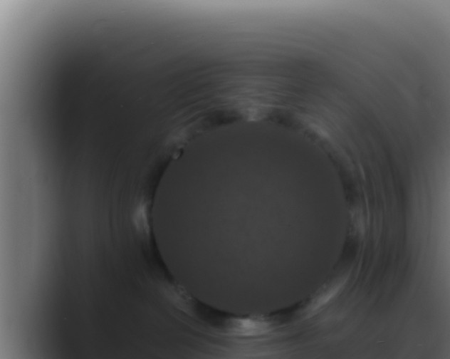 X0000089690286200706281421