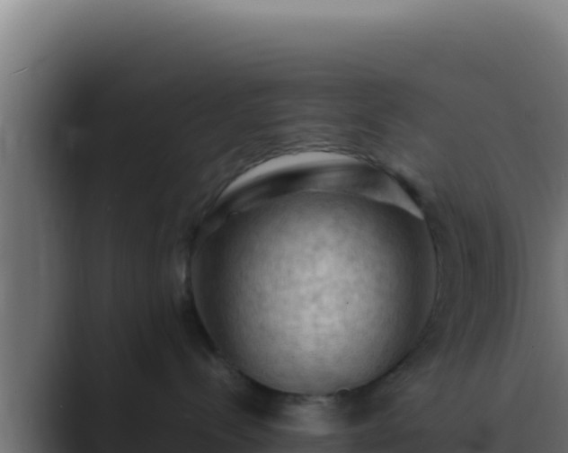 X0000089690288200706281421