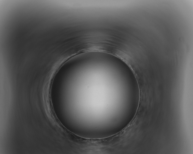 X0000089690289200706281420