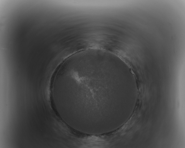 X0000089690290200706281420