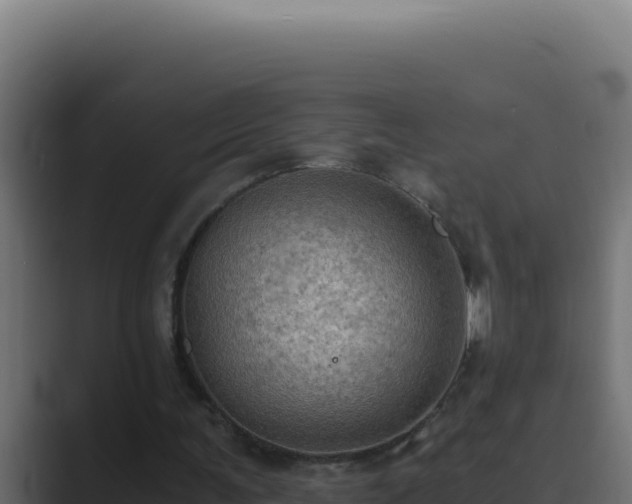 X0000089690291200706281420