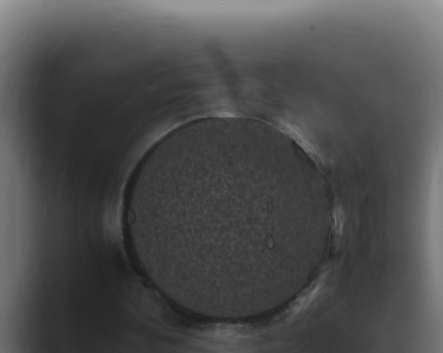 X0000089690292200706281420