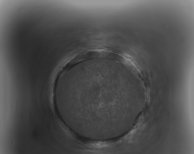 X0000089690293200706281420