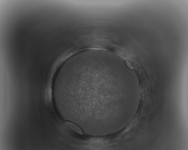 X0000089690294200706281420