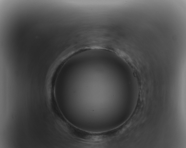 X0000089690295200706281420