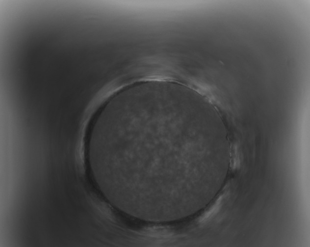 X0000089690296200706281420