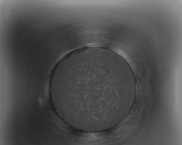 X0000089690297200706281420