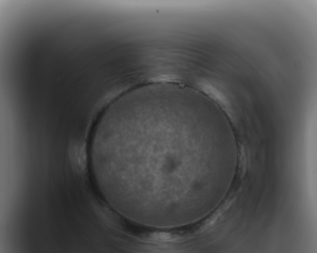 X0000089690298200706281420