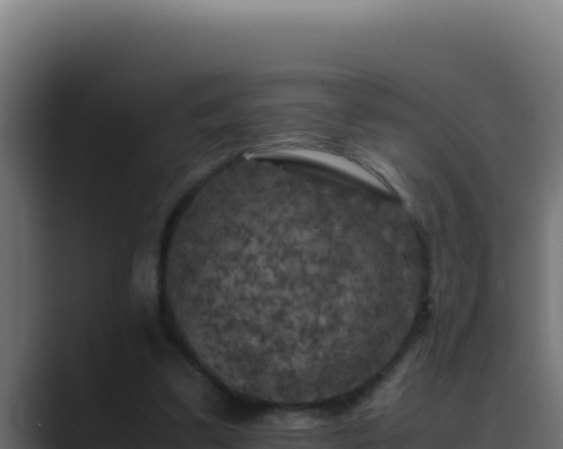 X0000089690299200706281420