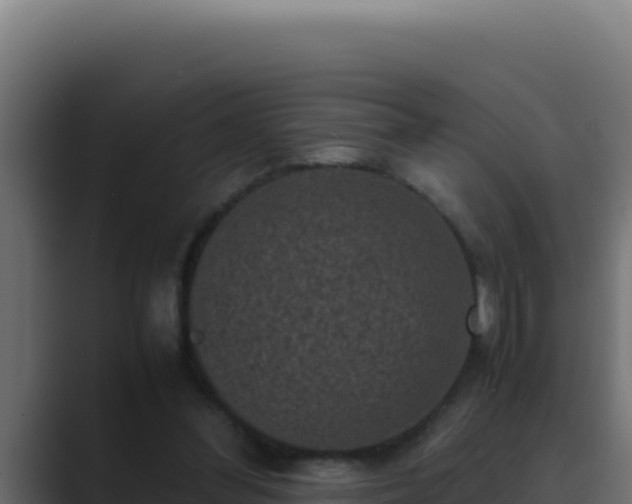 X0000089690300200706281420