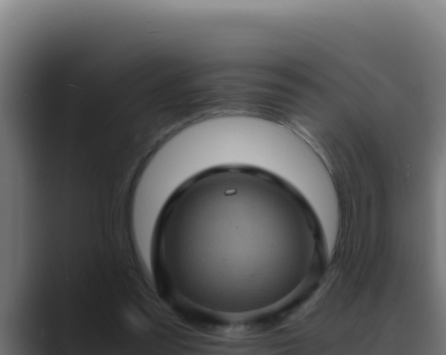 X0000089690301200706281420