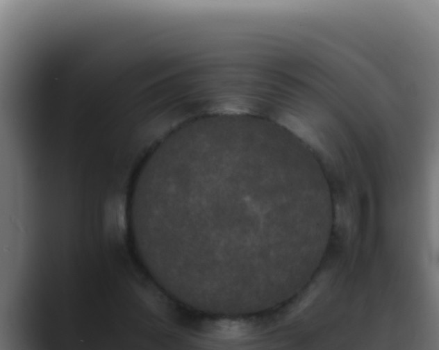 X0000089690302200706281420