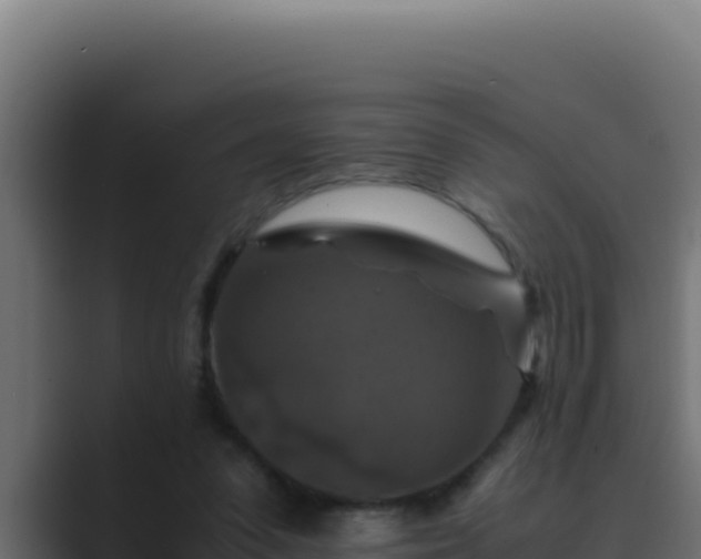 X0000089690303200706281420