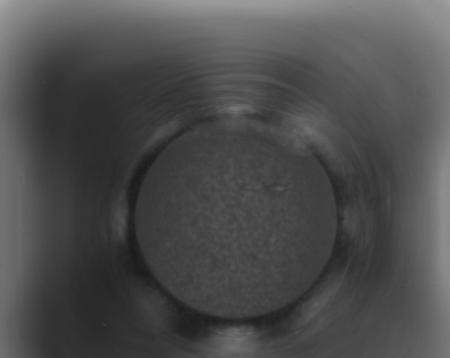 X0000089690304200706281420