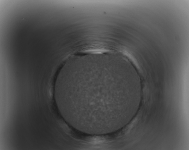 X0000089690305200706281420