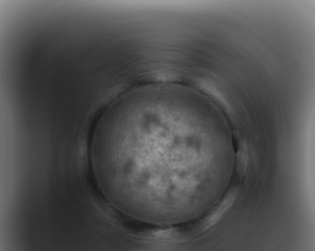 X0000089690306200706281420