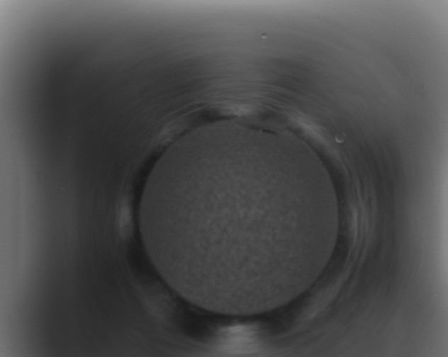 X0000089690312200706281420