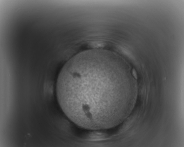 X0000089690315200706281420