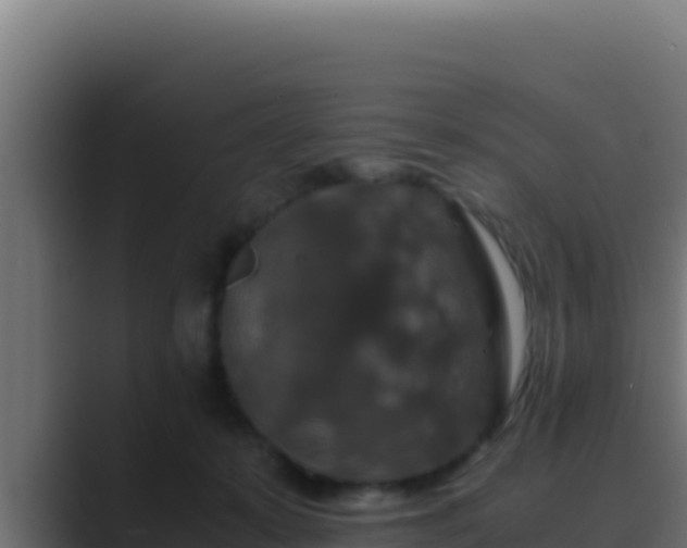 X0000089690319200706281420