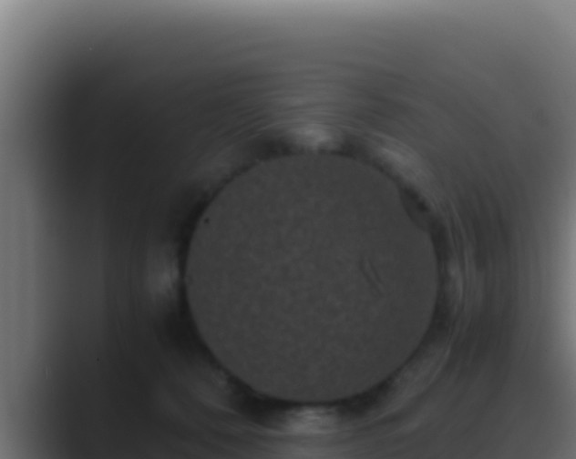 X0000089690320200706281420